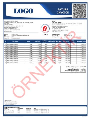 xslt tasarım fatura şablon 21