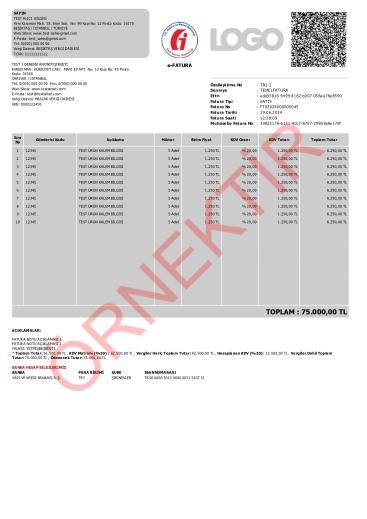 xslt tasarım fatura şablon 24