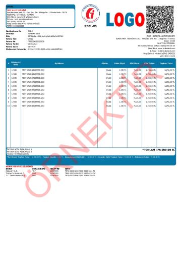 xslt tasarım fatura şablon 31